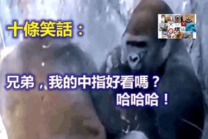 十條笑話：兄弟，我的中指好看嗎？哈哈哈！       