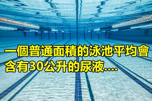 看了這個加拿大研究團做的調查后 你就再也不會想下泳池了...