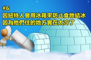 沒在唬爛！13個讓你驚覺「自己根本不懂地球」的超傻眼事實。#7為何要用椅子訓練獅子？