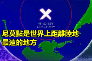 26個你現在不看 以後就很難看到的超級冷知識！完全刷新你對這世界的認知！