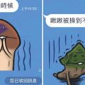 菇菇賴貼圖的「完整詮釋」被玩到超不正經　網笑爛：現在滿腦子都是啾啾