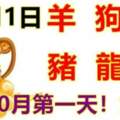 10月1日生肖運勢_羊、狗、虎大吉