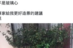 大男孩靠著一股傻勁跟毅力，用2萬元把荒廢的花圃親手改造，搖身一變讓家人，親友有更舒適的休憩空間。