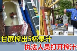 攤販用1根甘蔗榨出5倍果汁，執法人員拆開榨汁機，看到真相嚇得啞口無言