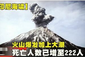 【印尼海嘯】火山爆發加上大潮　死亡人數已增至222人!