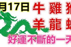 8月17日生肖運勢_牛、雞、猴大吉