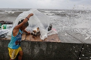 他只是個小孩子！小男孩在颱風天跑出門只為替無力逃跑的貓咪遮風避雨，英勇的行徑讓全世界動容！