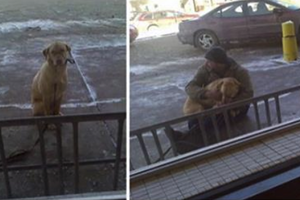 當時「零下29度！」狗狗瑟瑟發抖被綁在郵局外面等主人辦事...好心人離開隊伍到外抱住狗狗幫牠保暖！