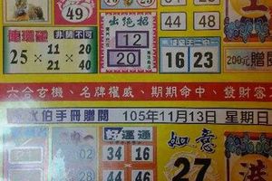 11/13  阿水伯手冊-六合彩參考