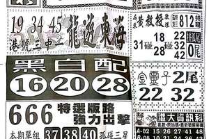 11/13  中國新聞報-六合彩參考