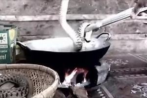 鄉下村民把一籮【眼鏡蛇】放進大鍋用沸騰的熱水煮，下一秒....讓人傻眼了！！！