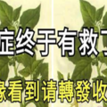 癌症有救了！很多癌癥都怕這一味藥！「有緣看到請轉發收藏，功德無量！」 