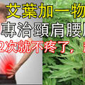 艾葉加一物，專治頸肩腰腿痛！用2次就不疼了，超有用！ 