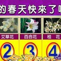 超神準測驗~【我的春天快要了嗎？】留言一路發。。。 