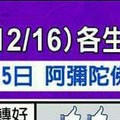 情況緊急~【12/10~12/16 各生肖的整體運勢】看看你旺不旺？