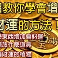 【風水招財】三招教你學會增加偏財運的方法！照做之後偏財運真的變好了！！！