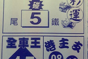11/3 港六合 {石頭公，好彩運，碼報}多張財報讓你參考，參考。