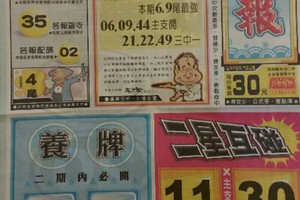 2/4  港六合 【水報，發現金，大勝利，圓報，慶安宮，吉祥週刊，財運，飛龍，一定贏】多張財報讓你參考，參考。