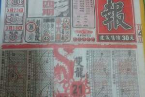 4/8 港六合 【龍報，鶴仙子，八卦天機，吉祥龍報，龍財神，開運，國際時報】目標三星，殺豬頭，參考，參考。