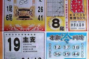 7/2 六合 【火報，水報，正旺，香港？報】參考。