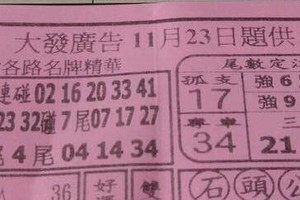 11/23 港六合 【大發廣告，玄女堂，通天教主，大舍，飛燕子，順德宮，】多張財報參考，參考。