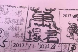 11/25 港六合 【萬君塚，夢雲軒，玉寶殿，武聖，財神書，名人資訊】多張參考，參考。