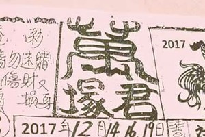 12/14 港六合 【萬君塚，濟公，道德壇，順德宮，結緣堂】多張財報讓你參考，參考。