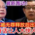 最新轰动【林冠英被无罪释放后出面喊话】这番话振奋人心！