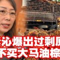 爆出油棕过剩原因 中国不买了？