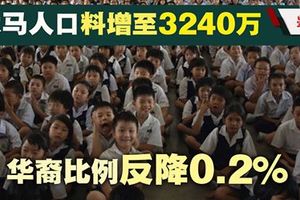 大马人口料增至3240万·华裔比率反降0.2%