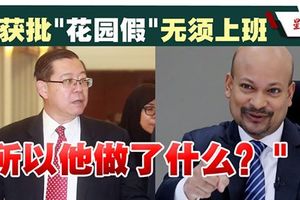 “阿鲁尔年薪千万不实”．林冠英促纳吉说真话