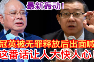 最新轰动【林冠英被无罪释放后出面喊话】这番话振奋人心！