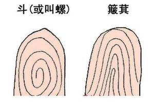 你有幾鬥？【手指紋路】決定你的命運與愛情