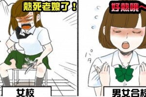 5張「女校」對比「男女混校」的超寫實搞笑圖！第5張的鐵血女漢子到底是怎麼回事！