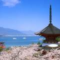 旅遊網站評比《最值得一去的日本神社》你又走訪過了哪些呢？
