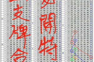 11/3六合彩特別號定位版路