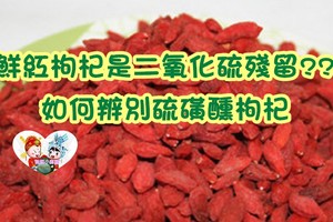 鮮紅枸杞是硫磺醺制，如何辨別硫磺醺枸杞