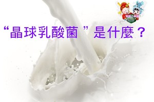 “晶球乳酸菌＂是什麼？