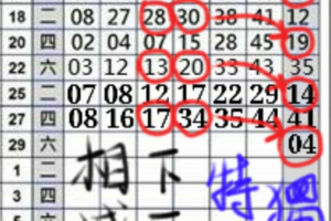 10/29六合彩定ˇ點大獨支