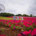 突然興奮的朋友！東武動物園與《獸娘》新聯動發表