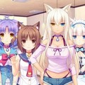 《NEKOPARA》這才是真正的FPS遊戲？