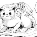 用微波爐殺貓？日本漫畫被批無下限