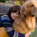 日本網友吐槽：橋本環奈的愛犬曝光，簡直太可愛了