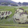 《火影忍者》粉絲在稻田繪製巨大鳴人效果超完美