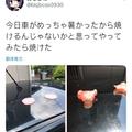 日本網友吐槽：天氣太熱了，肉在車上真的會被烤熟……還不粘鍋！