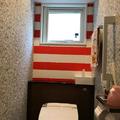 日本網友吐槽：姐姐家的廁所畫滿密密麻麻的小人，能看一整天