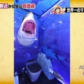  有錢就是可以為所欲為，尾田榮一郎家宅內景公開廁所懸掛鯊魚頭