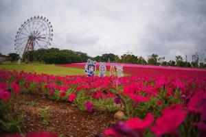 突然興奮的朋友！東武動物園與《獸娘》新聯動發表