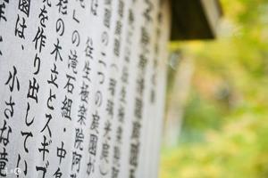 日語竟是世界上最優美的語言，日語歌最深入人心