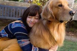 日本網友吐槽：橋本環奈的愛犬曝光，簡直太可愛了
